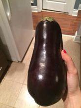 北部瓜茄今日价格,今日价格一览”