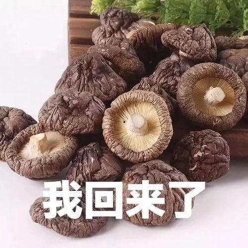 吃瓜官网黑料蘑菇视频,蘑菇视频背后的真相大起底