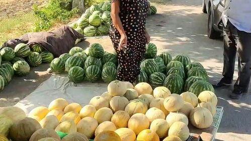 村委会吃瓜热门视频,揭秘乡村生活新风尚