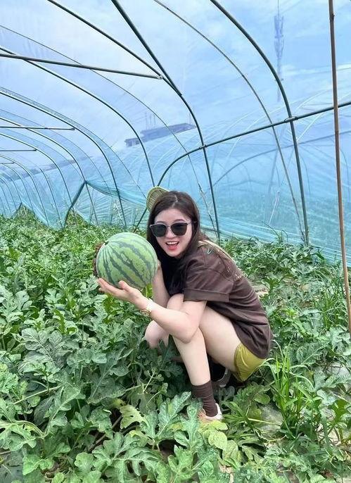 村委会吃瓜热门视频,揭秘乡村生活新风尚