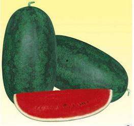 今日有什么新瓜,揭秘最新“瓜”事，追踪娱乐圈风云变幻