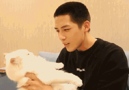 吃瓜爆料姚晨陈星旭,娱乐圈新恋情引热议