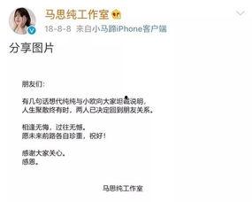 明星网红简介文案范文,揭秘他们的魅力与影响力