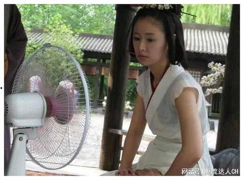 明星网红切片免费观看,免费观看，一网打尽！