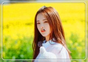 超绝拍照照片明星网红,超绝拍照照片中的明星网红风采