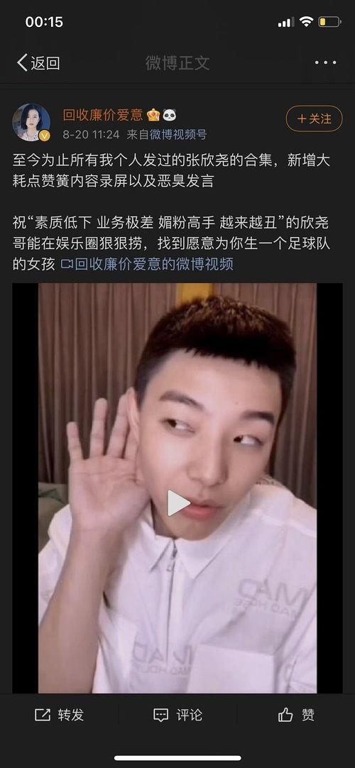 明星网红集合图片大全,明星网红风采集结展示