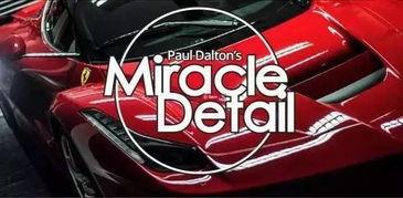 明星网红洗车是谁