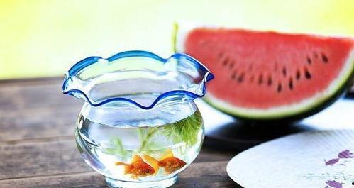 吃瓜黑样不打料官网