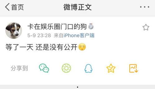 每日吃瓜爆料群号大全,揭秘网络热点，畅享实时资讯盛宴