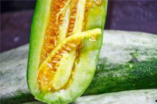 被吃瓜爆料的网红