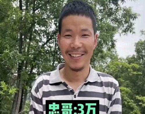 明星网红捐款西藏灾区,助力西藏灾区重建