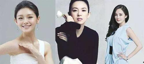 减肥成功的明星网红,跟随明星网红的脚步，解锁健康减肥新篇章