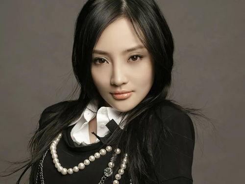 明星网红地图视频下载,地图视频带你一探究竟