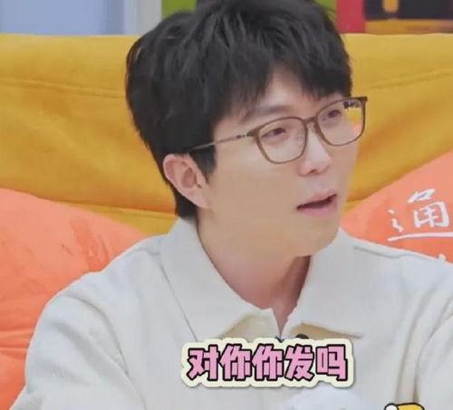 娱乐圈吃瓜小号是谁,揭秘神秘幕后推手