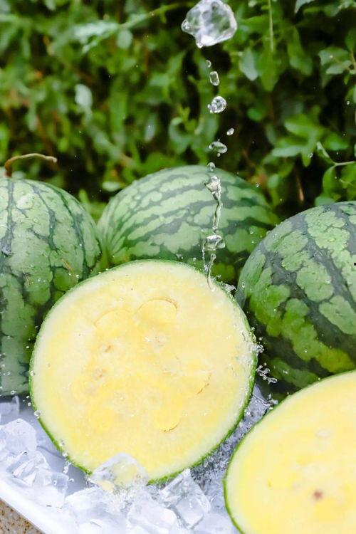 988su吃瓜黑料视频,视频内容深度解析