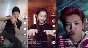 明星网红卖货素材视频,明星同款爆款解析