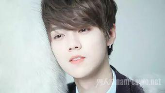 男明星网红大全图片