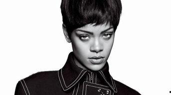 男明星网红大全图片