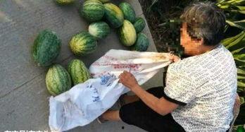 射阳吃瓜最新事件爆料,揭秘背后惊人真相