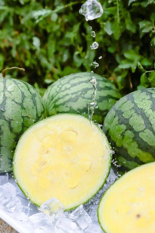 988.su黑料吃瓜网,网络舆论场中的真相与争议