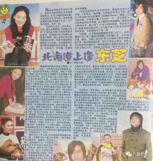 娱乐圈的吃瓜小说,幕后风云，瓜田乱舞