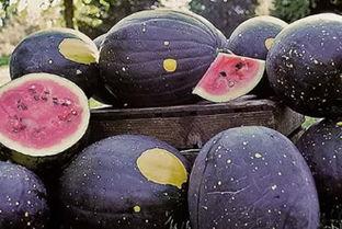 黑料正能量吃瓜曝光地址,吃瓜曝光背后的真相与启示