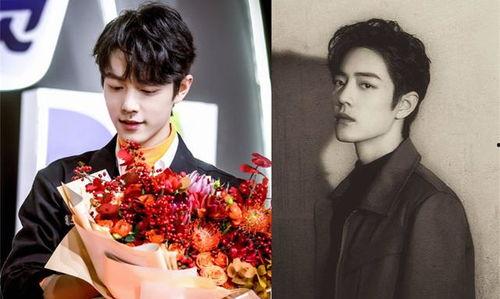 吃瓜娱乐圈肖战,娱乐圈的瓜田明星