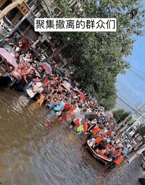 明星网红扎堆灾区作秀