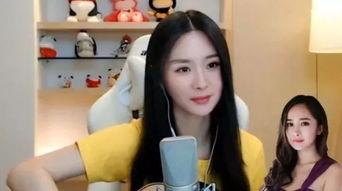 换脸明星网红小说,网红明星的逆袭传奇