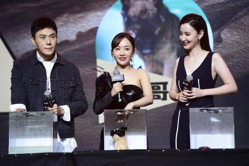 娱乐圈吃瓜汇总小说